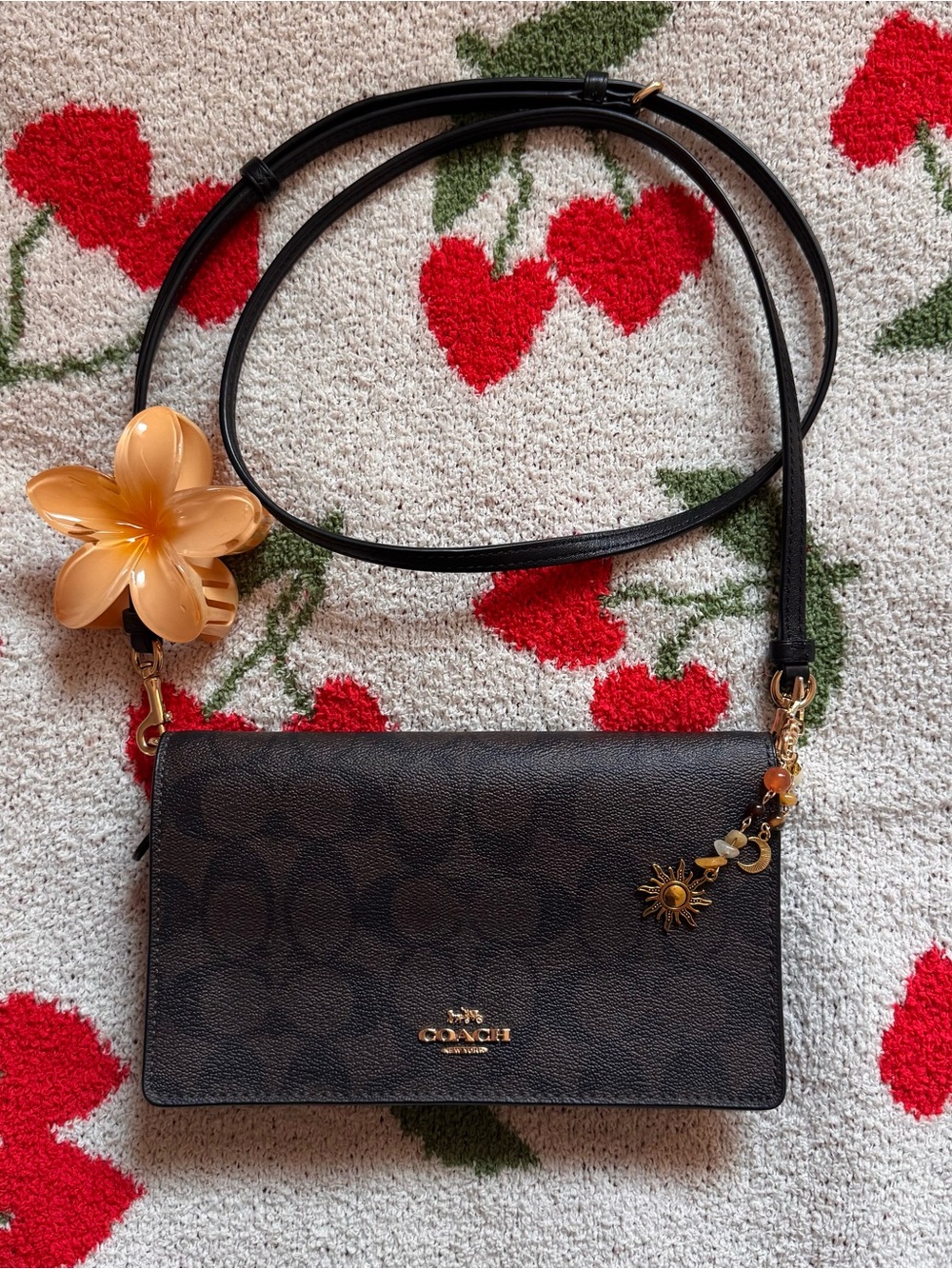 Coach Dark Brown Signature Crossbody Wallet Bag